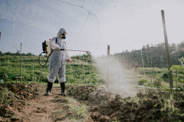 Best Pest Removal Services  in Seymour, IN