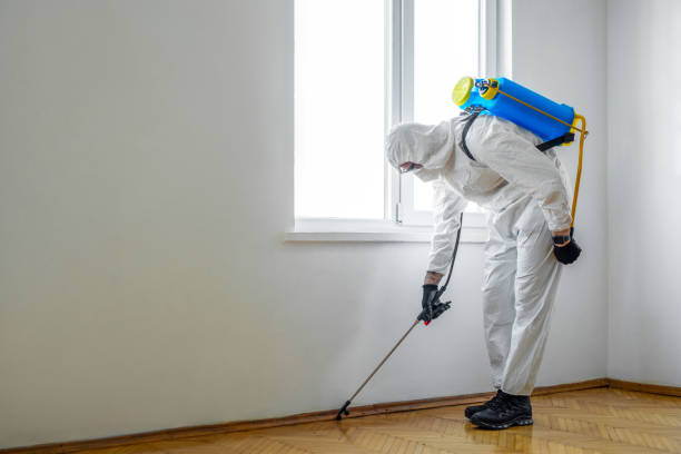Best Wasp Removal Services  in Seymour, IN
