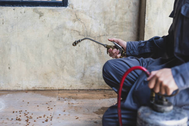 Best Exterminator Services  in Seymour, IN